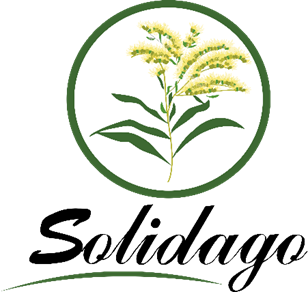Logótipo SOLIDAGO